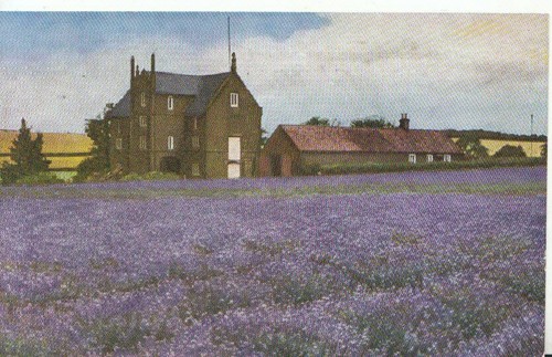 Norfolk postcard caley mill - norfolk,