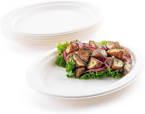 Strong bagasse disposable oval - strong,