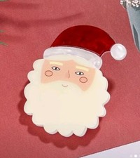 Charming Cheerful  Santa