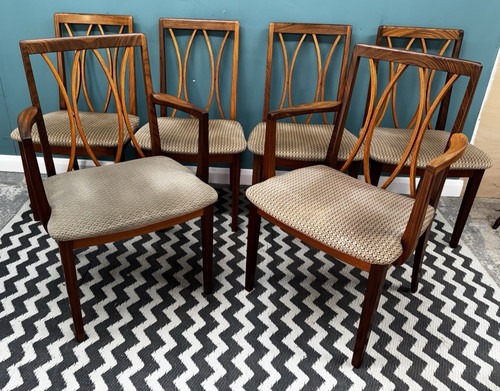 Vintage plan back set 6 - x,