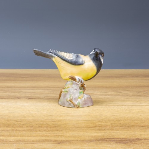 Royal worcester porcelain - worcester,