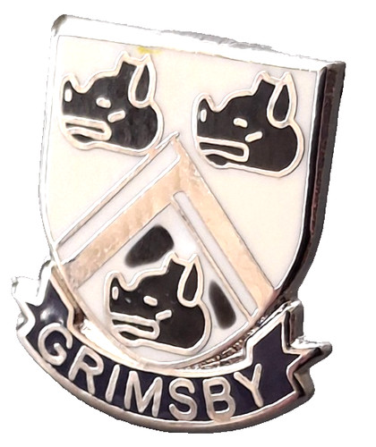 Grimsby town small pin - grimsby,