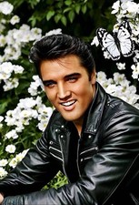 Iconic Large Photo The King