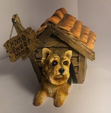 Yorkshire Terrier Dog Leonardo