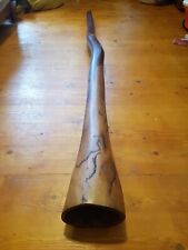 Large didgeridoo Termite Hollowed 