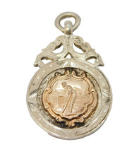 Sterling Silver & Gold Cricket