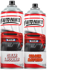 CAR PAINT SPRAY AEROSOL - MG /