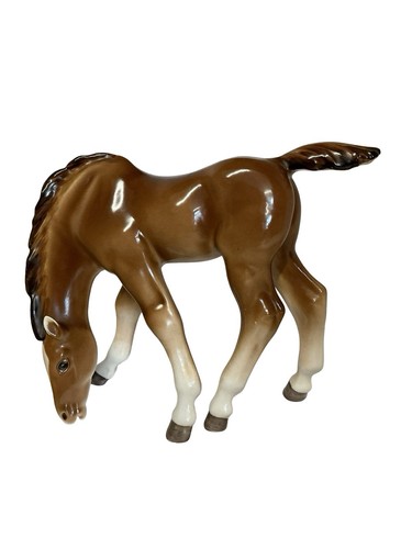 Lomonosov horse foal - /,