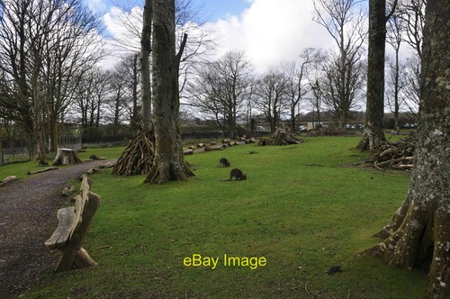 Photo 6x4 pembrokeshire - photo,