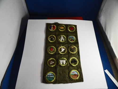 Bsa merit badges these - 14,