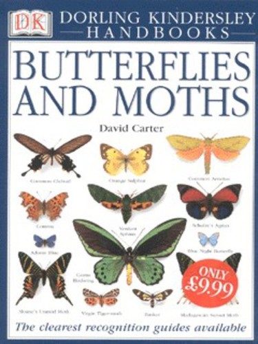 Butterflies and moths - , david