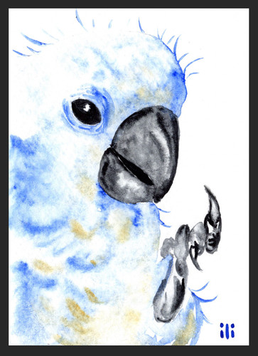 Aceo watercolor print cute - aceo,