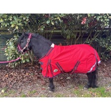 Ruggles 50g Turnout Rug  for