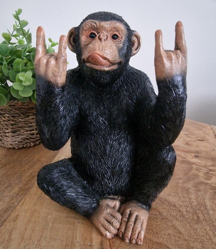 Rock roll tongue - out, monkey