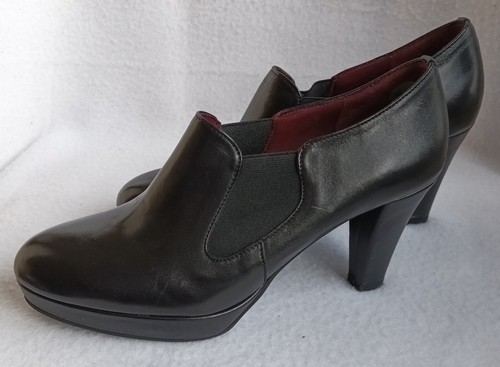 Studion pollini vera gamma - studion,