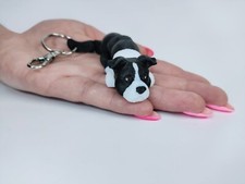 ✨🐾3D Printed American