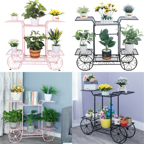 Plant stand indoor garden - plant,