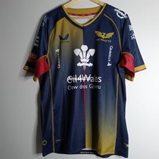 Castore Llanelli Scarlets