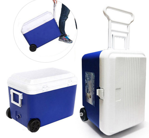 Cooler box camtel - camtel, on