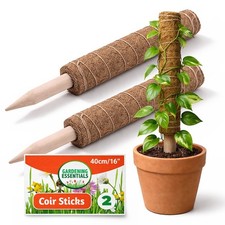 2-4 40cm Coir Moss Pole Plant