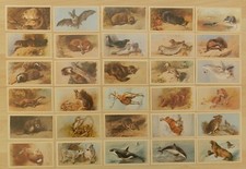 1984 GRANDEE CIGAR CARDS BRITISH MAMMALS FULL SET 30 CARDS 