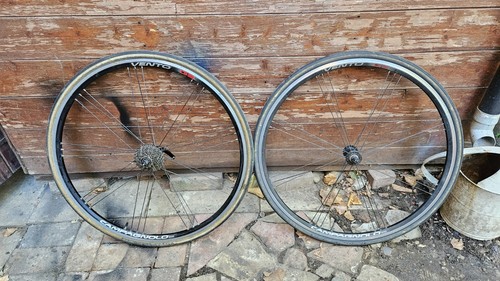 Campagnolo shamal ultra - ultra, 700c