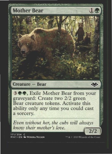 Mother bear 171 - mother,