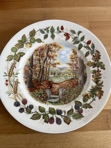 Collector plate coalport - collector's, coalport's