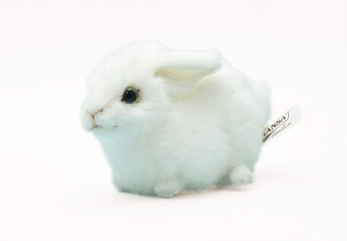 Hansa bh5823 rabbit - rabbit, toy