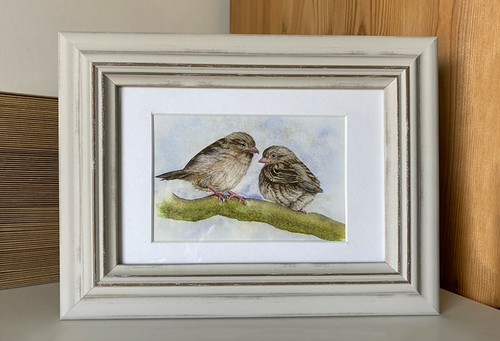 Sparrows wildlife framed - wildlife,