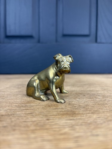 Vintage brass bull dog - vintage,