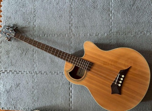 Warwick alien rockbass soft - warwick,