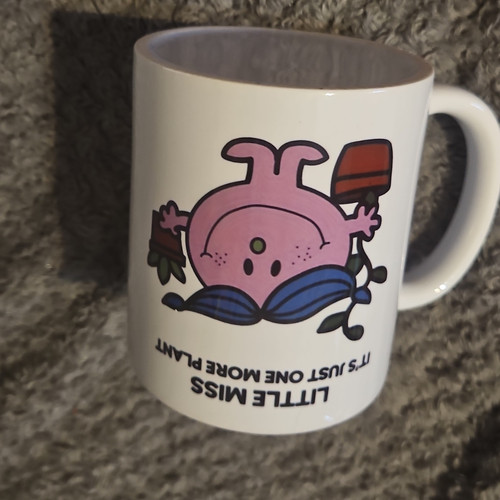 Men little miss - mr., &