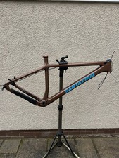 Santa Cruz Chameleon C