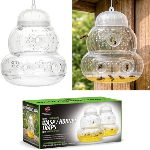 Plastic wasp trap - wasp,