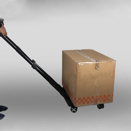 Trolley mini portable - portable, 100kg