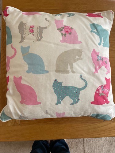 Multi couloured cat - , print