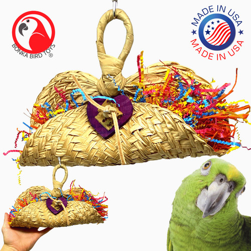 950 taco bird - bird, foraging
