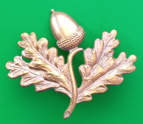 South nottinghamshire hussars - south,