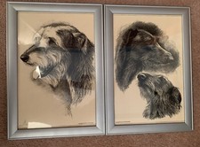 Excellent pair framed Deerhound & Wolfhound prints bought at Crufts 2016-A4 size