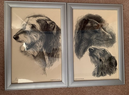 Excellent pair framed