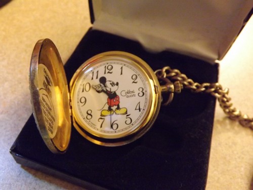 Disney mens colibri - disney,