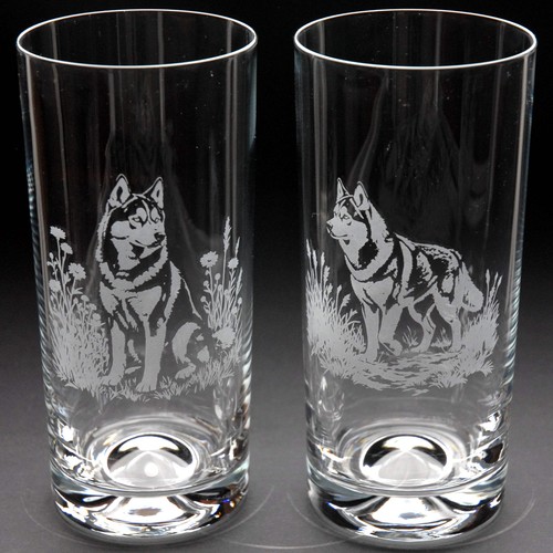 Siberian husky dog highball - siberian,