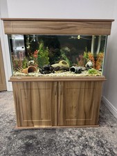 Tropical fish tank - complete set up - All included