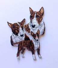 Brindle Bull Terrier Dog Heat