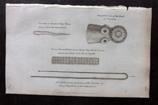 George Shaw 1809 Antique Print. Tape Worm 150