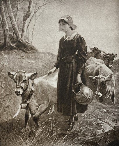 Evangeline antique lithograph - evangeline,