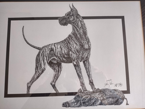 Brindle great dane wild - wild, boar