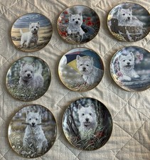 8 Porcelain Plate Collection “Westies” By Paul Doyle