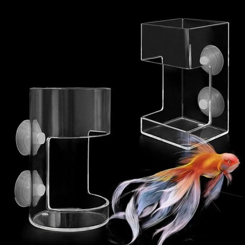 Aquarium feeding ring fish - aquarium,